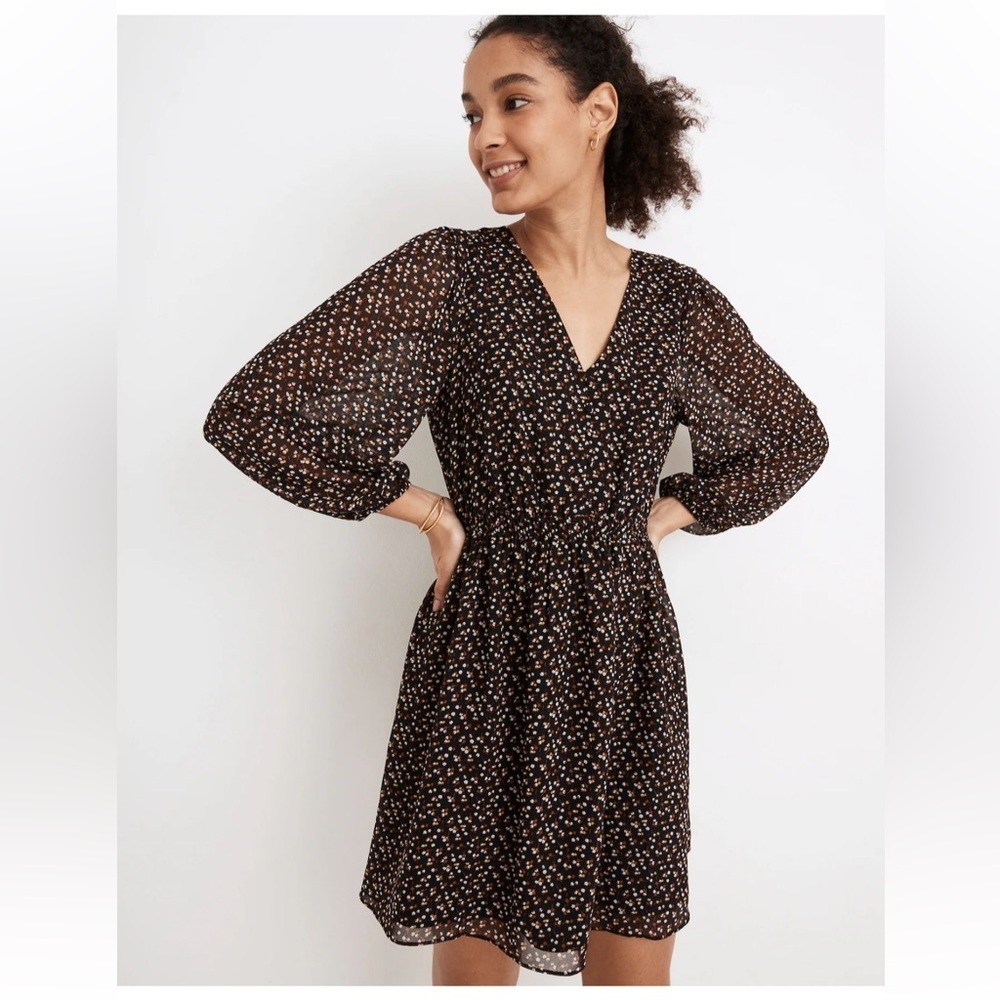 Madewell Georgette Button-Front Mini Dress in Adorable
Ditsy